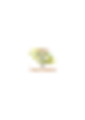 Logo.svg